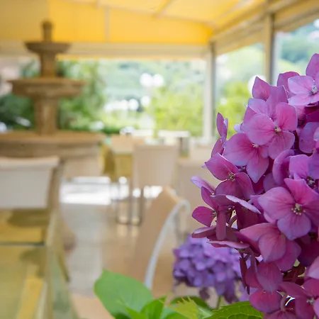 Hotel Elena 4*