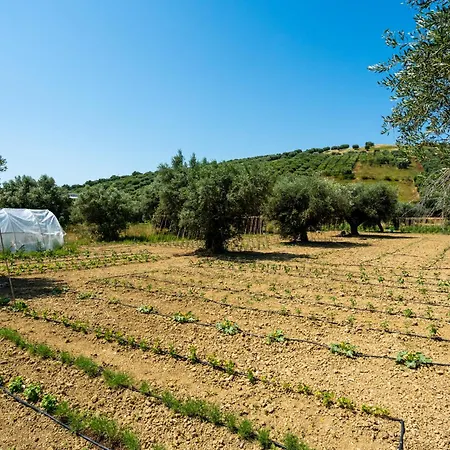 Elena 4* Tortoreto